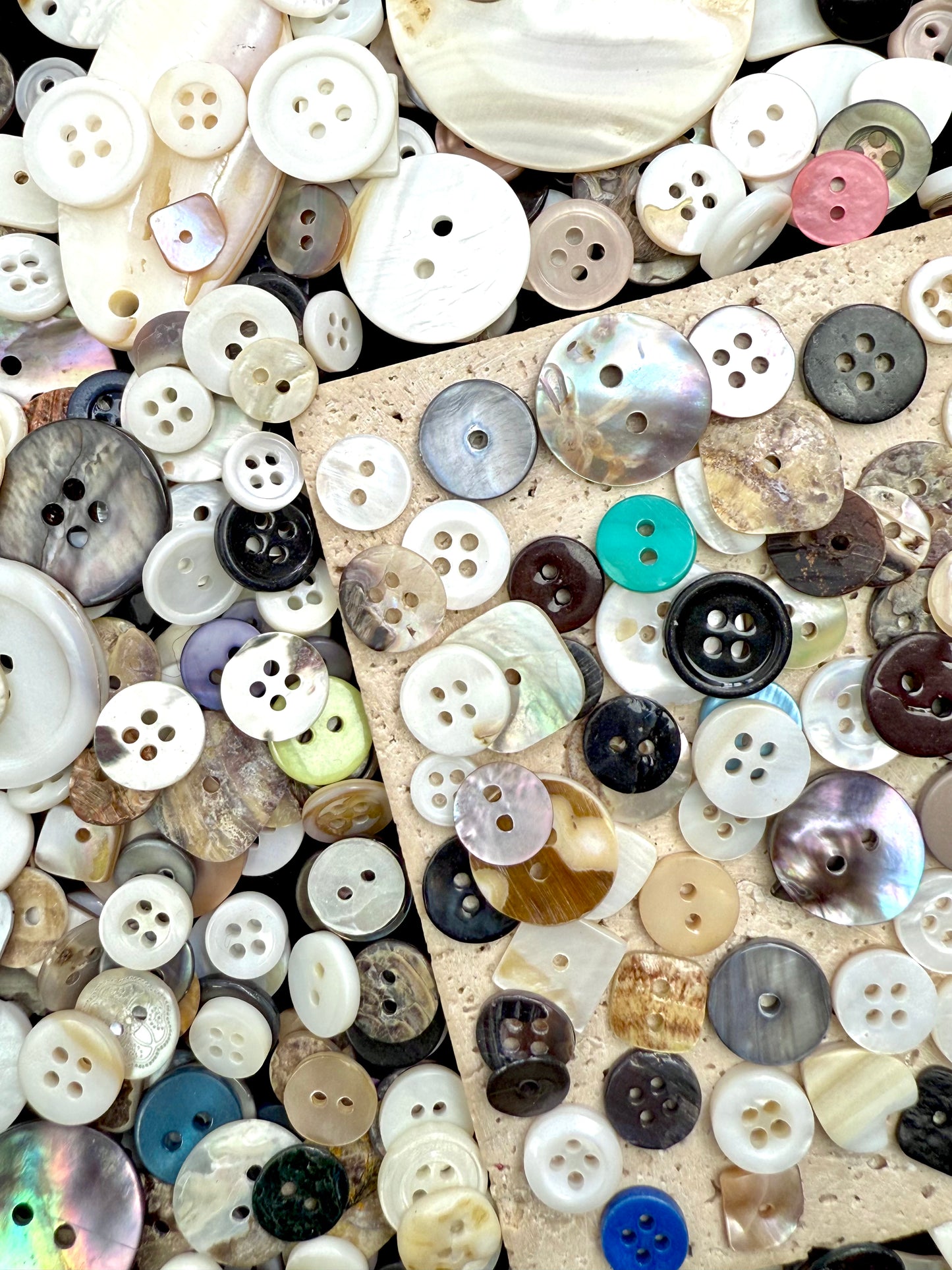 【Pearly Shell】 shell bead and buttons