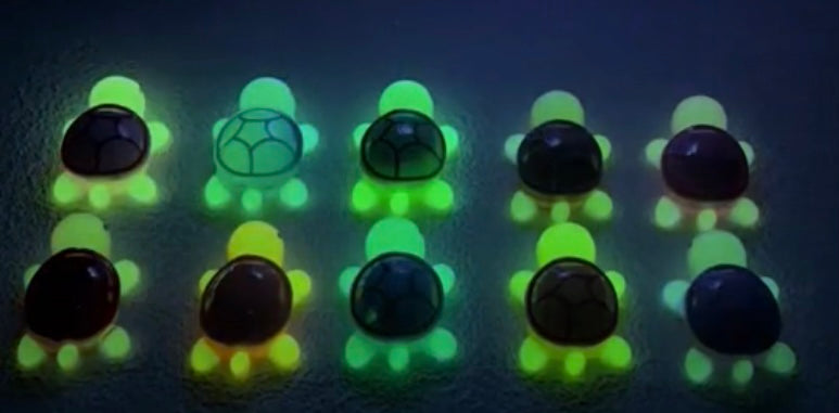 【Turtle Squad】20% OFF LAST STOCK luminous colorful turtle displays