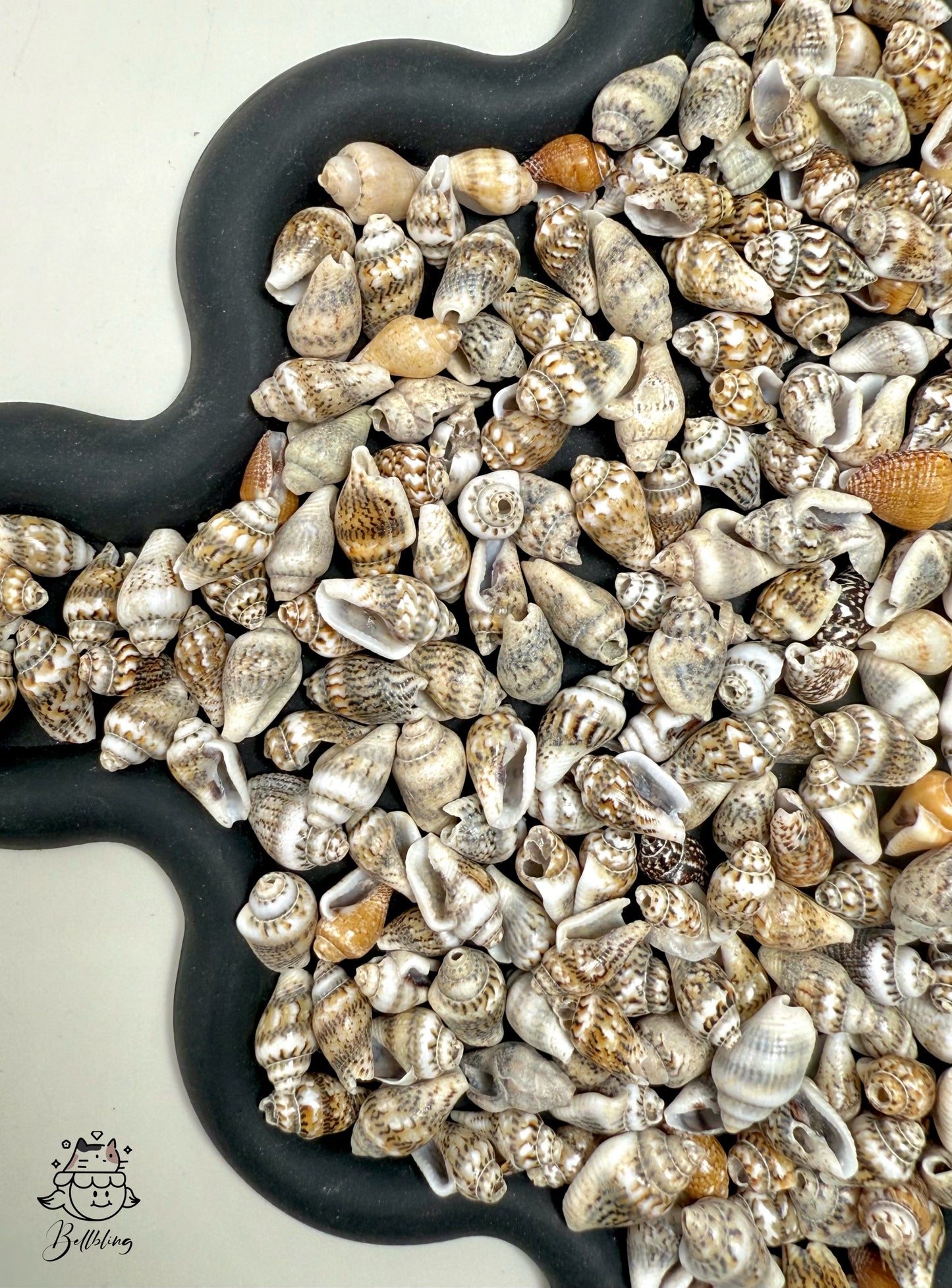 【Pearly Shell】 shell bead and buttons