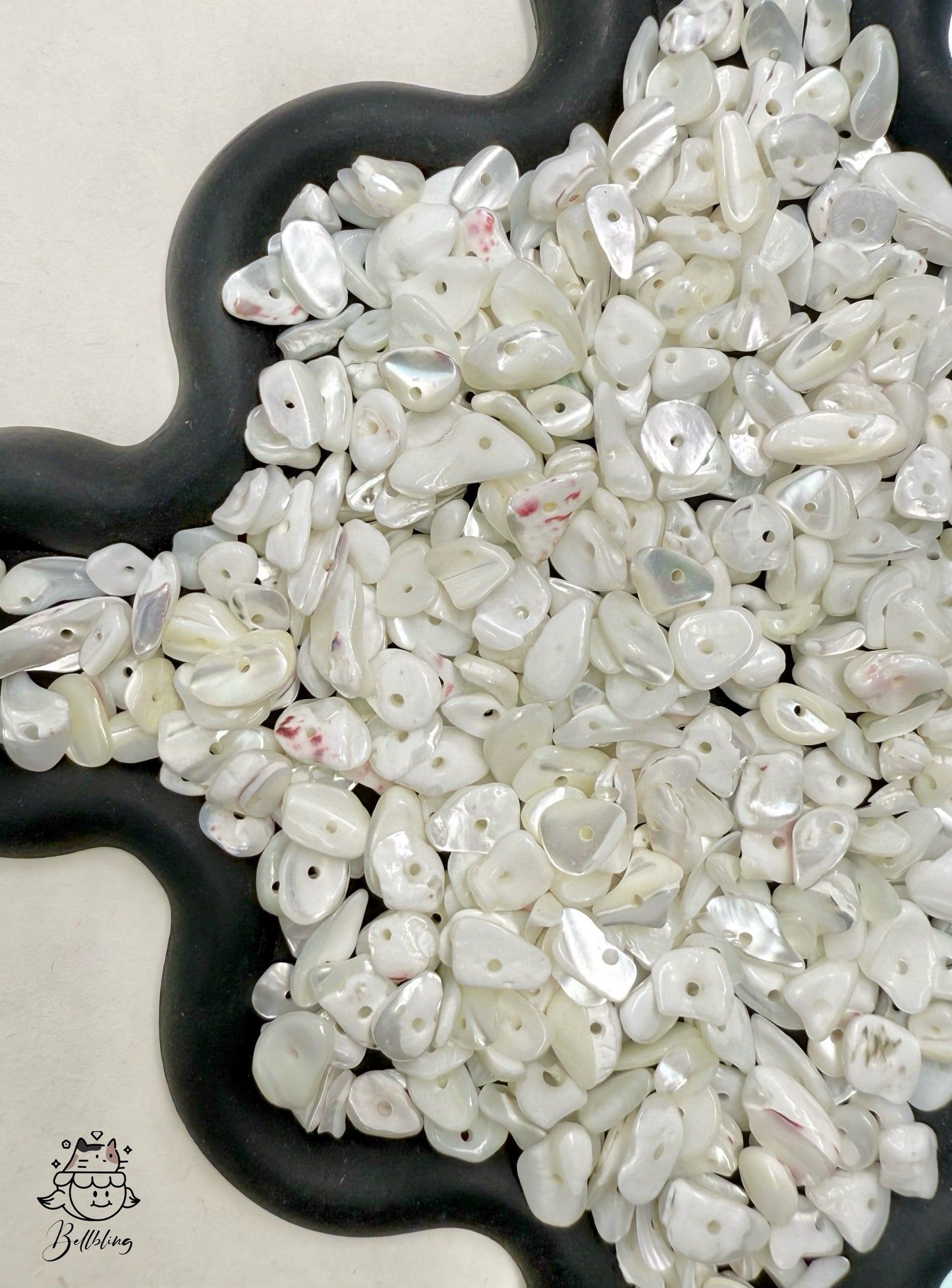 【Pearly Shell】 shell bead and buttons