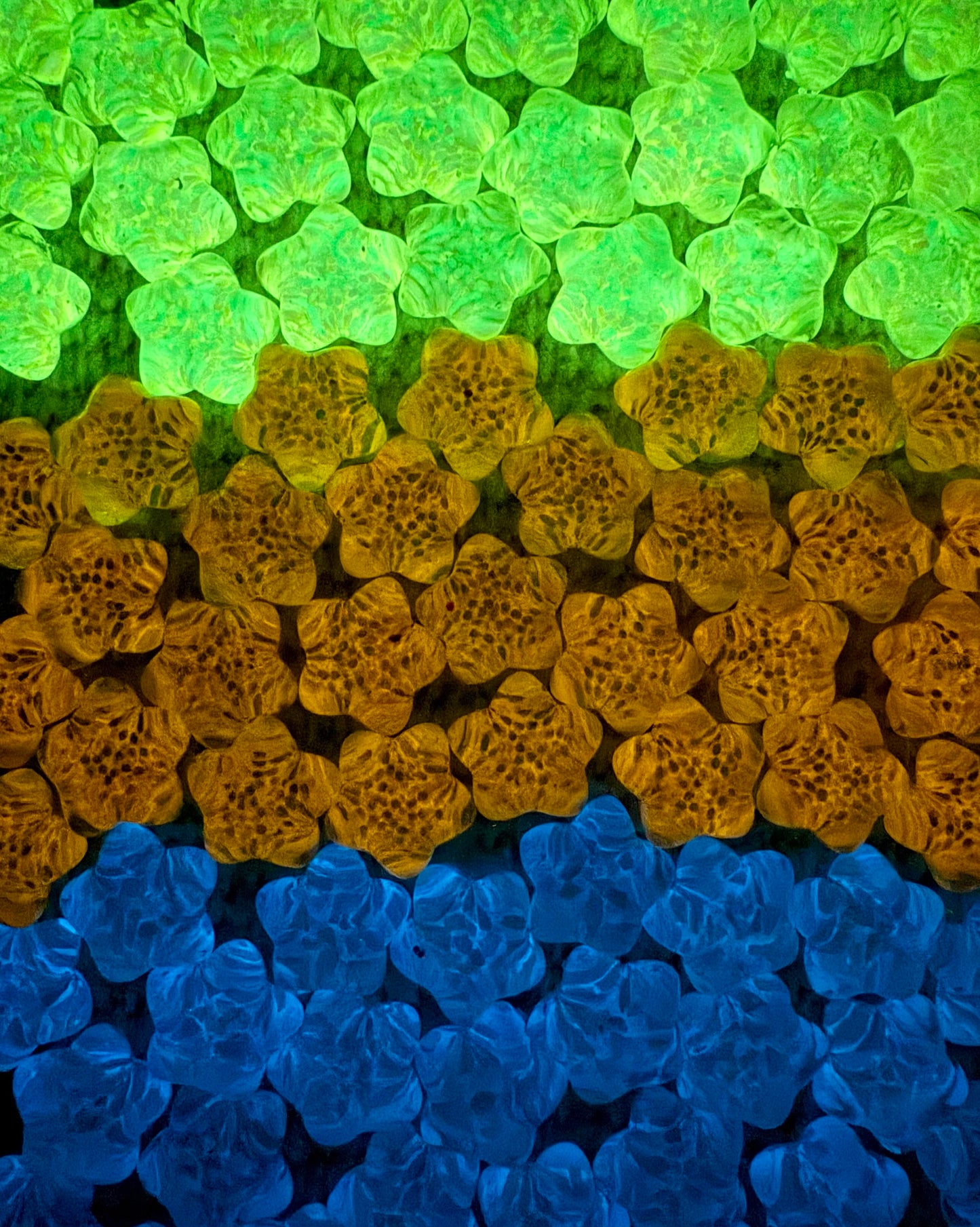 【Jardin de Monet】Mélange de fleurs en résine Lumi de luxe 20 mm 10 couleurs, décoration de cadre, affichage, choix de cadeau